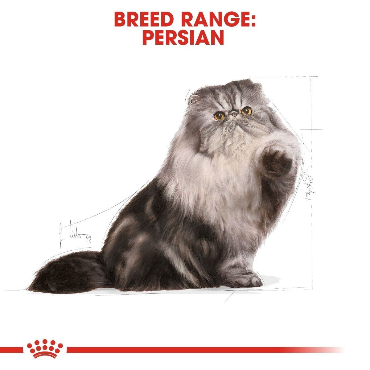 Royal Canin Persian Adult Cat Dry Food - 400g, 2kg, 4kg, 10kg