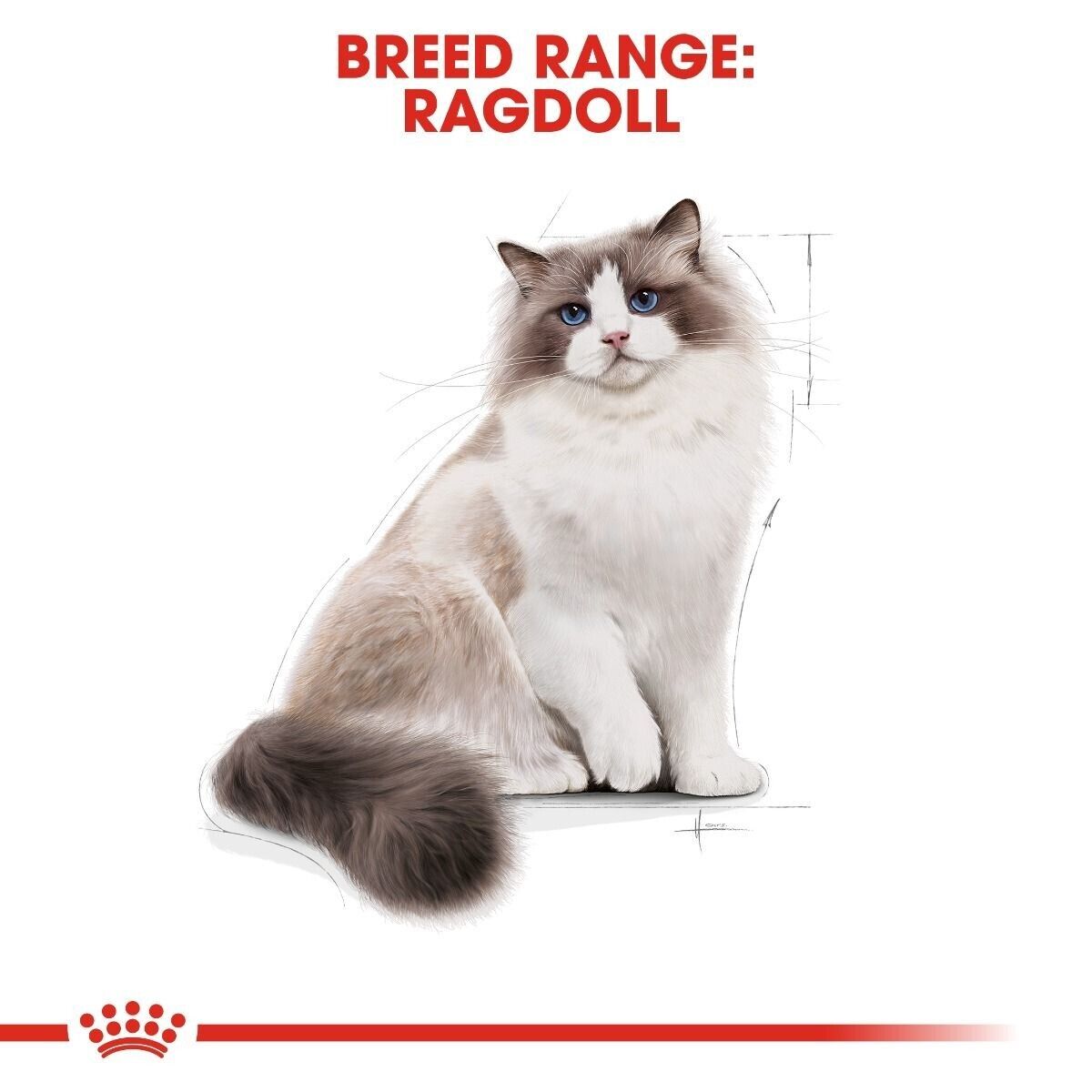 Royal Canin Ragdoll Adult Dry Cat Food - 400g, 2kg, 10kg