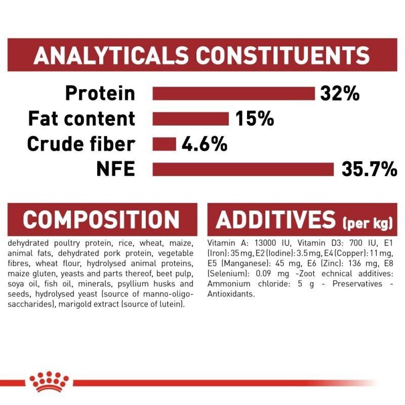ROYAL CANIN Regular Fit 32 Adult Dry Cat Food 2kg , 4kg , 10kg