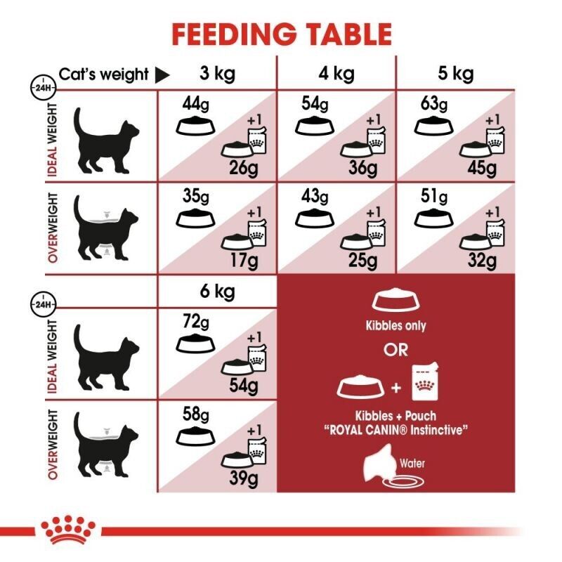 ROYAL CANIN Regular Fit 32 Adult Dry Cat Food 2kg , 4kg , 10kg