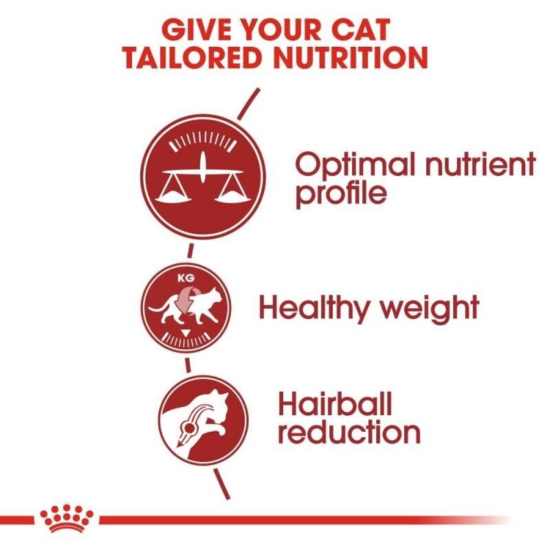 ROYAL CANIN Regular Fit 32 Adult Dry Cat Food 2kg , 4kg , 10kg