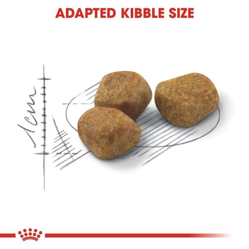 ROYAL CANIN Regular Fit 32 Adult Dry Cat Food 2kg , 4kg , 10kg