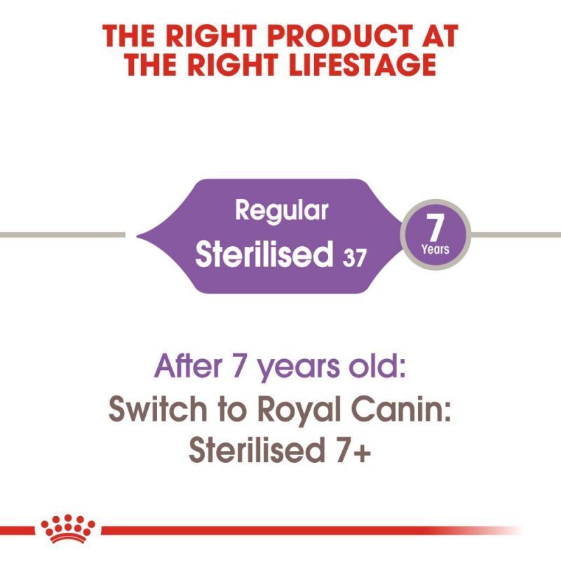 ROYAL CANIN Regular Sterilised 37 Dry Cat Food Healthy Digestion 2kg-4kg-10kg
