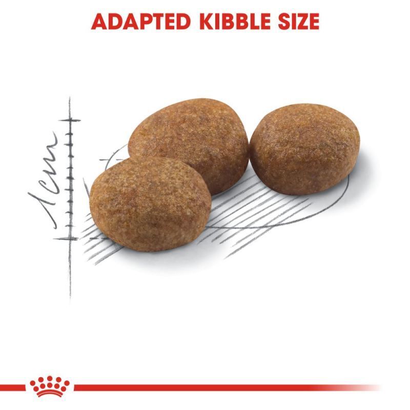 ROYAL CANIN Regular Sterilised 37 Dry Cat Food Healthy Digestion 2kg-4kg-10kg