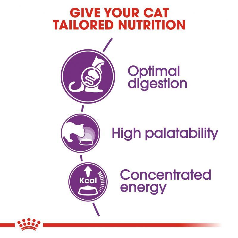 Royal Canin Sensible 33 Cat Dry Food For Adult 1-7 years Cat 2kg - 4kg - 10 kg