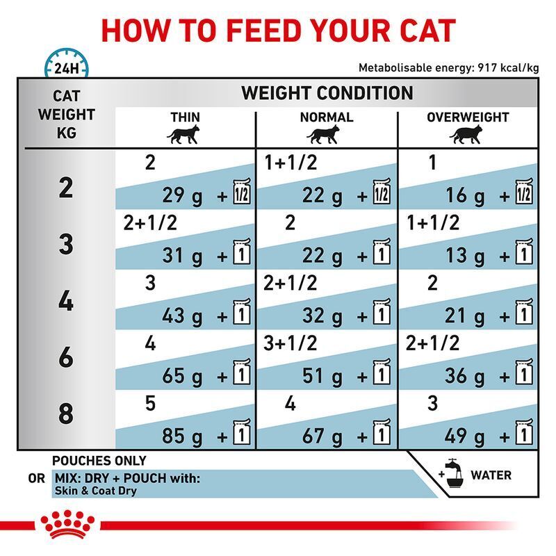 Royal Canin Skin and Coat Adult Cat - Wet Food 12 , 24 , 48 x 85g