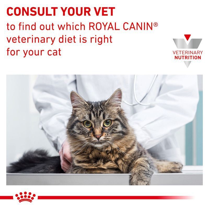 Royal Canin Skin and Coat Adult Cat - Wet Food 12 , 24 , 48 x 85g