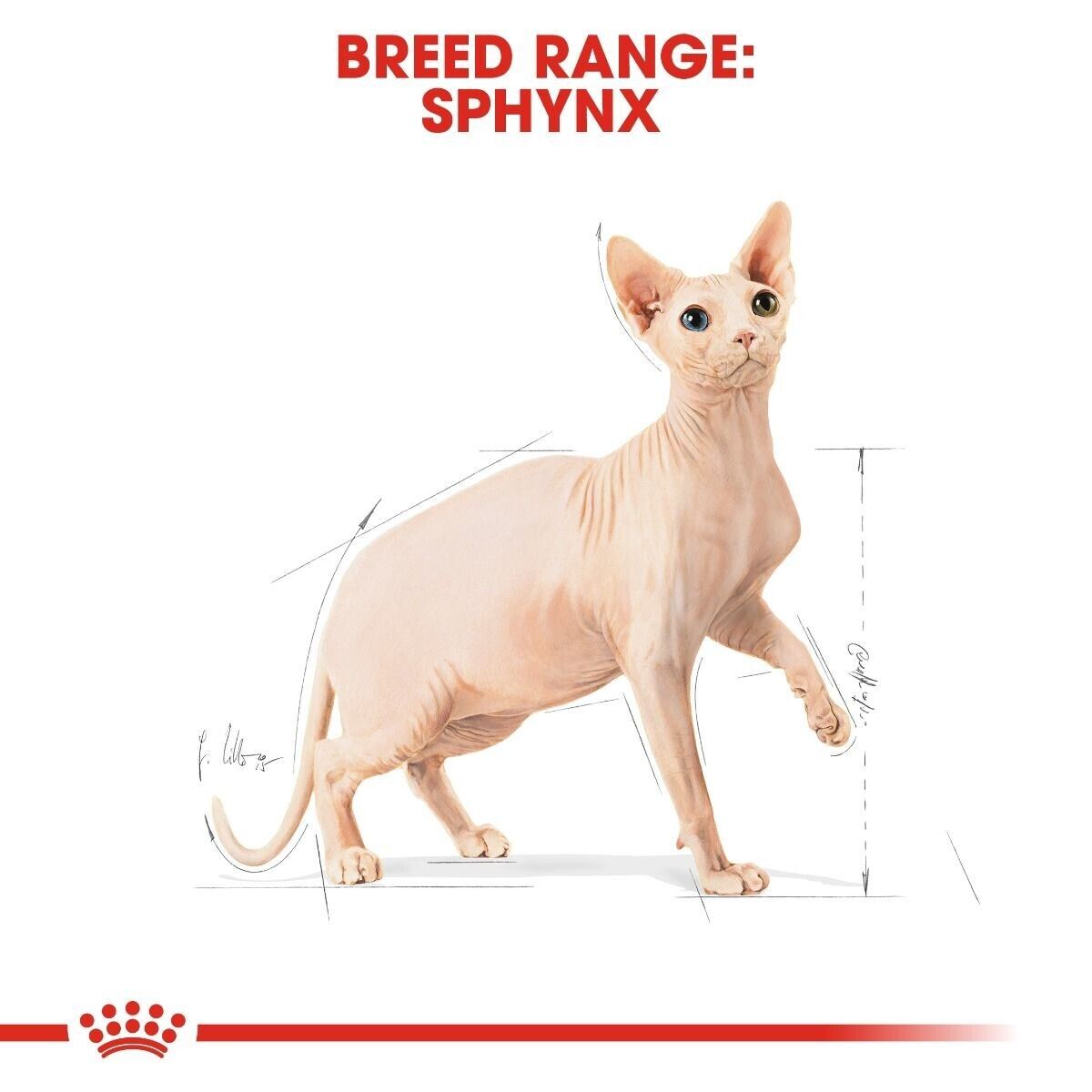 Royal Canin Sphynx Adult Dry Cat Food - 2kg, 10kg