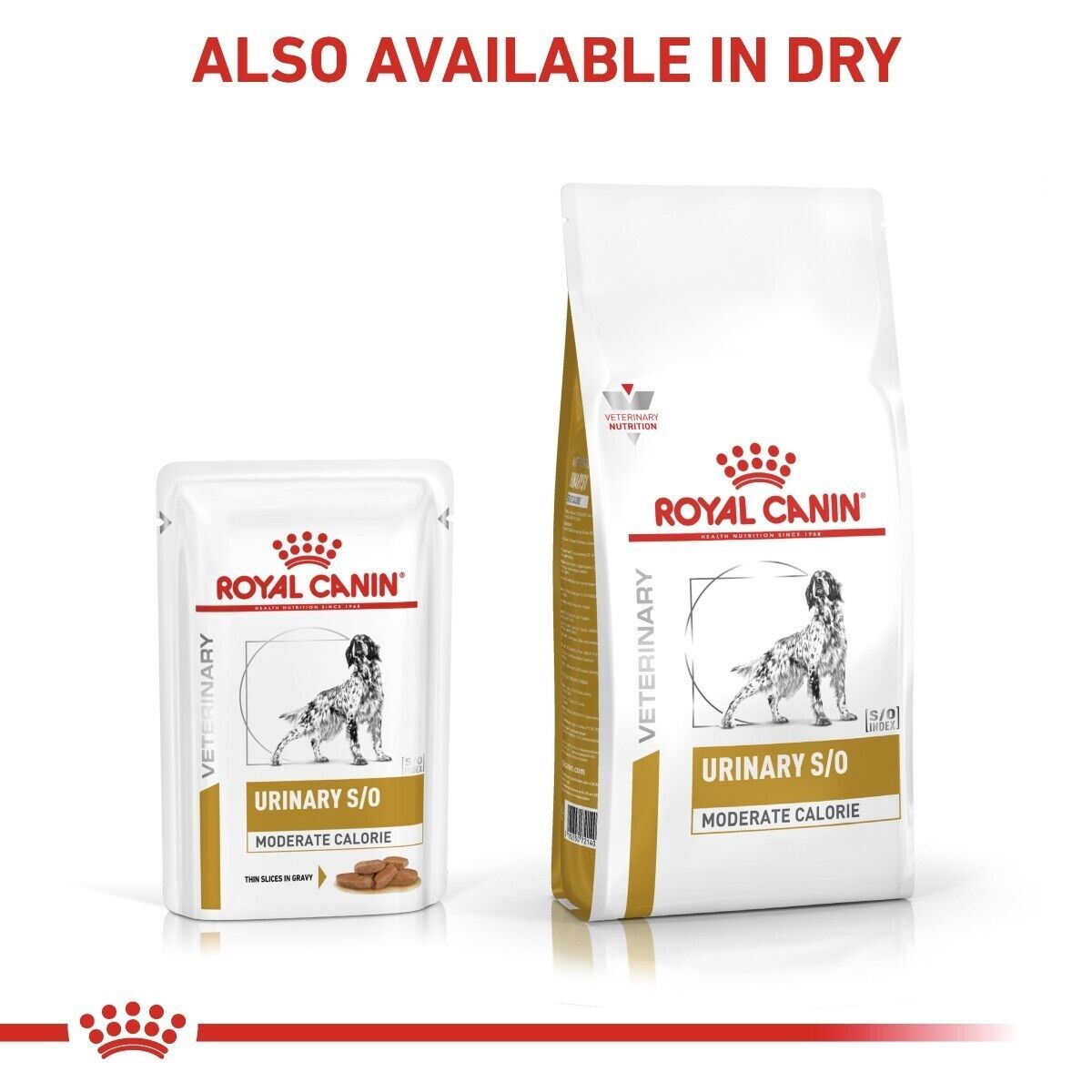 Royal Canin Urinary S/O Wet Dog Food Moderate Calorie Pouches for Dogs in Gravy