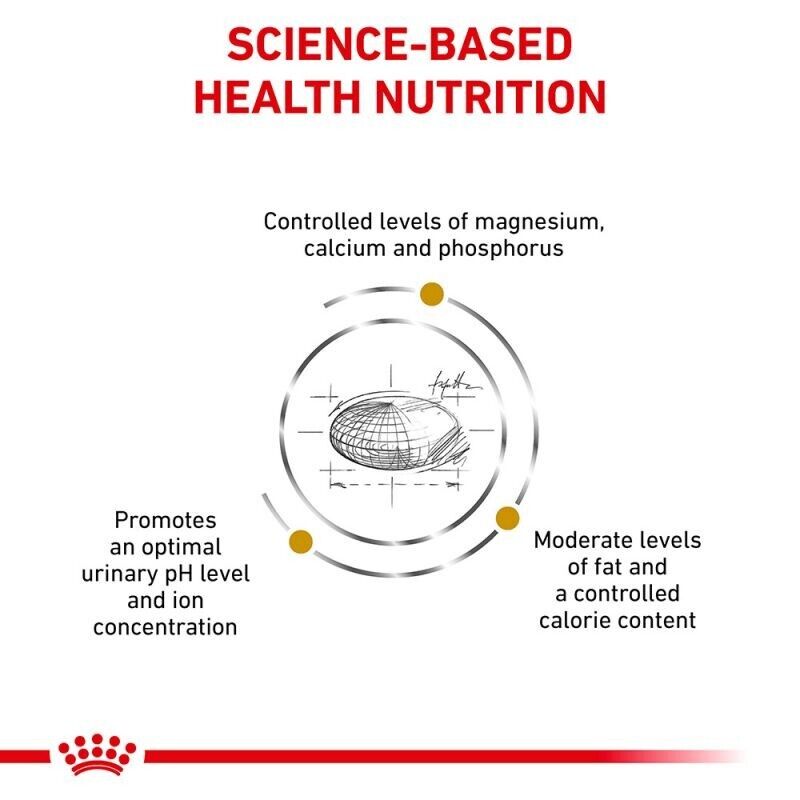 Royal Canin Veterinary Cat Dry Food Urinary S/O - 1.5kg, 3.5kg, 7kg