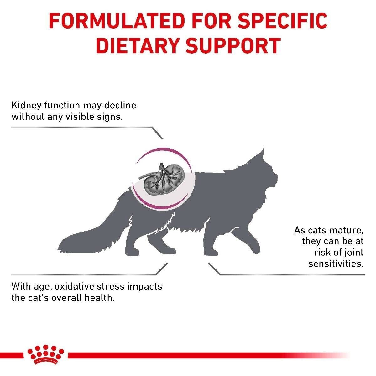 Royal Canin Veterinary Cat Early Renal Dry Cat Food - 400g, 1.5kg, 3.5kg, 6kg