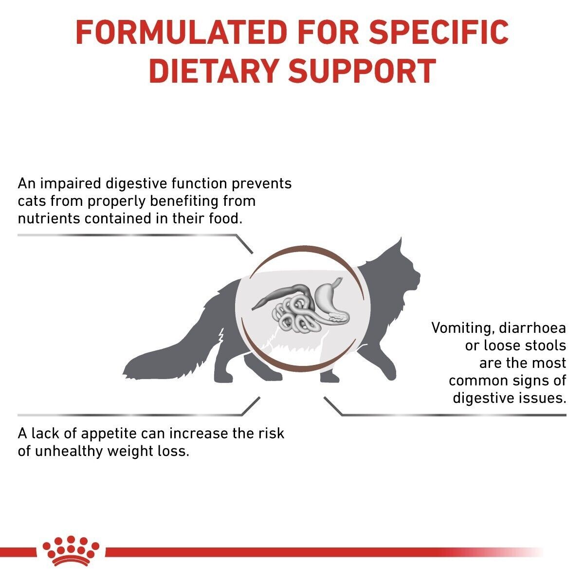 Royal Canin Veterinary Cat Gastrointestinal Dry Cat Food - 2kg, 4kg