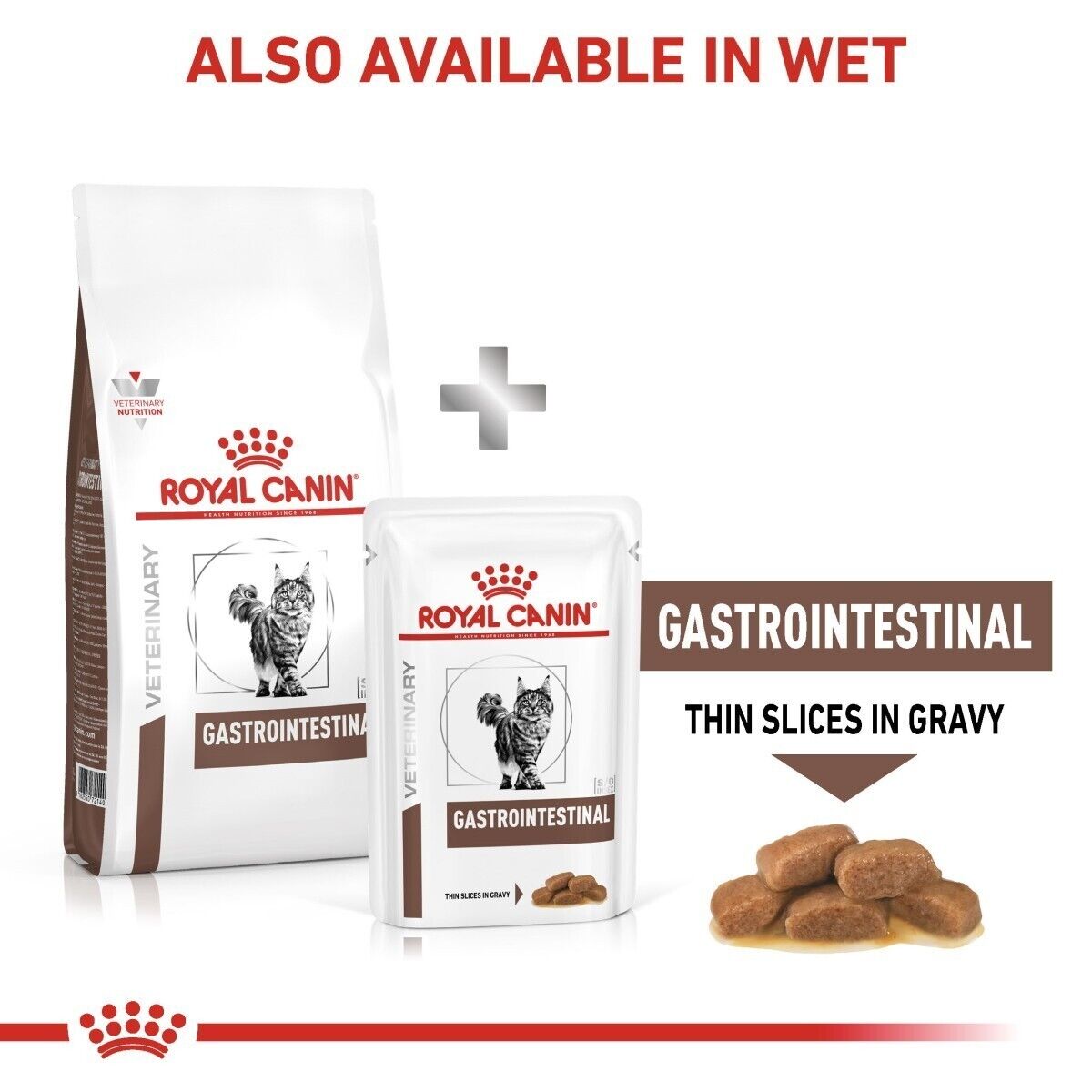 Royal Canin Veterinary Cat Gastrointestinal Dry Cat Food - 2kg, 4kg
