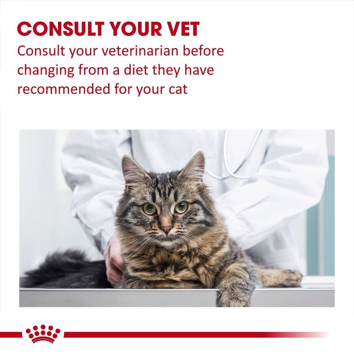 Royal Canin Veterinary Cat Gastrointestinal Dry Cat Food - 2kg, 4kg
