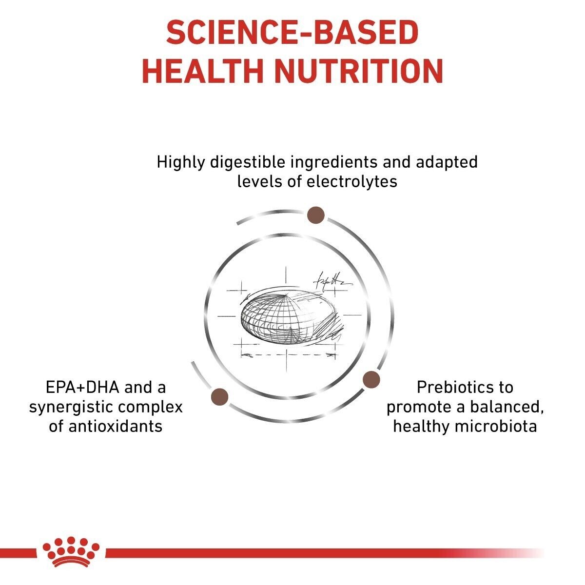 Royal Canin Veterinary Cat Gastrointestinal Moderate Calorie Dry Food - 2kg, 4kg
