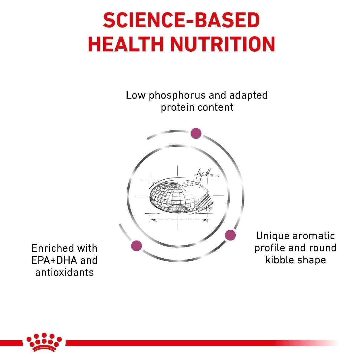 Royal Canin Veterinary Cat Renal Dry Cat Food - 400g, 2kg, 4kg