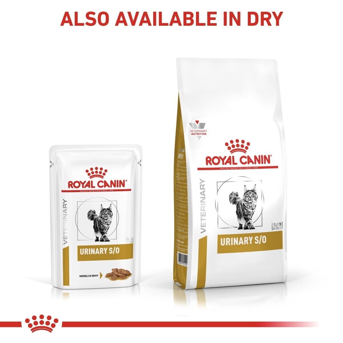 Royal Canin Veterinary Cat Urinary S/O Wet Cat Food - 12 / 48 x 85g