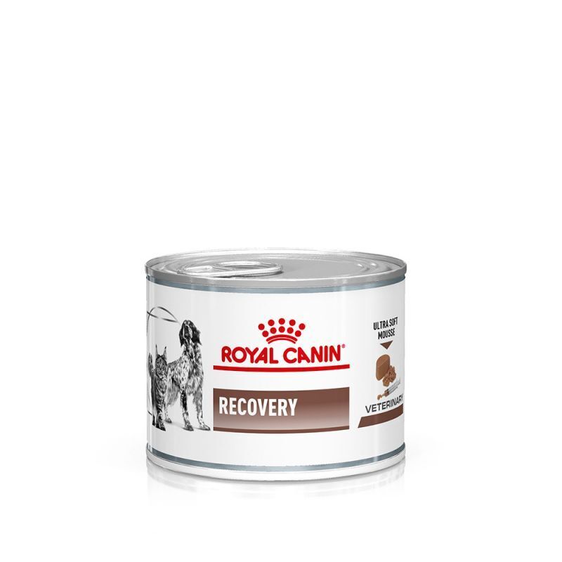 Royal Canin Veterinary Diet Dog – Recovery 12x195g / 24 x 195g Wet Dog Food