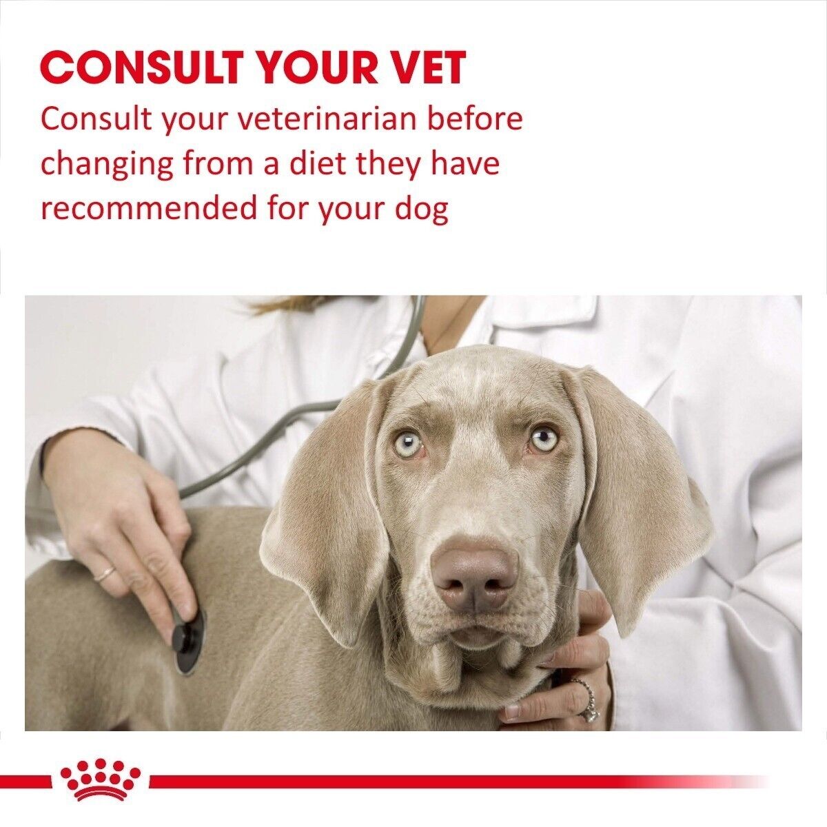 Royal Canin Veterinary Dry Dog Food – Dental Special Small Dog - 1.5kg , 3.5kg