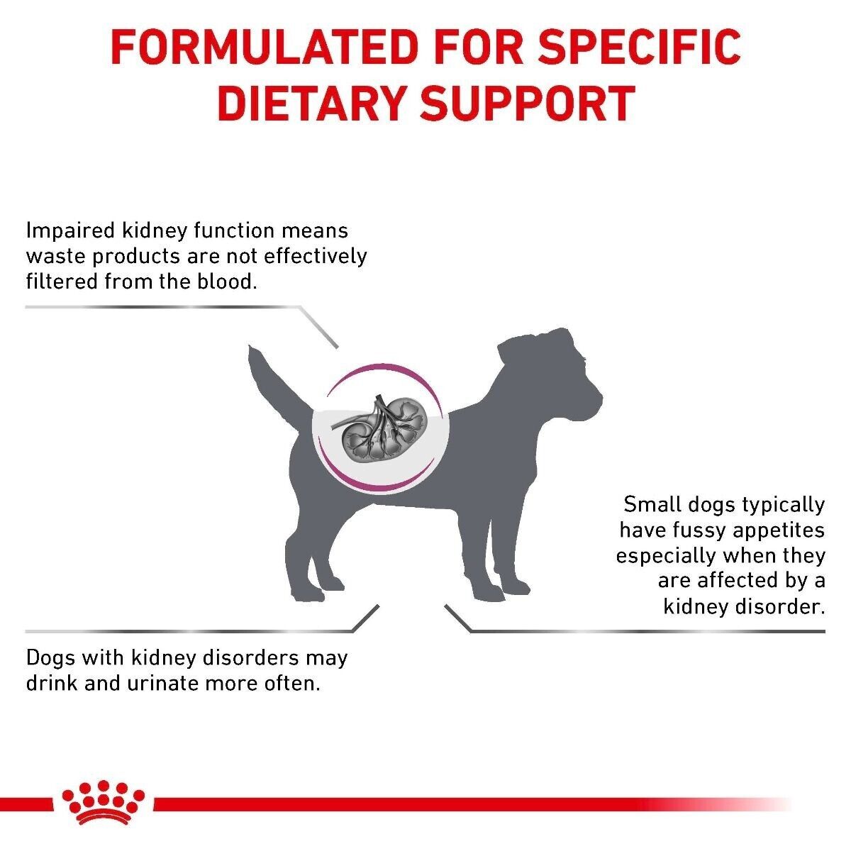 Royal Canin Veterinary Dry Dog Food – Renal Small Dog - 1.5kg, 3.5kg