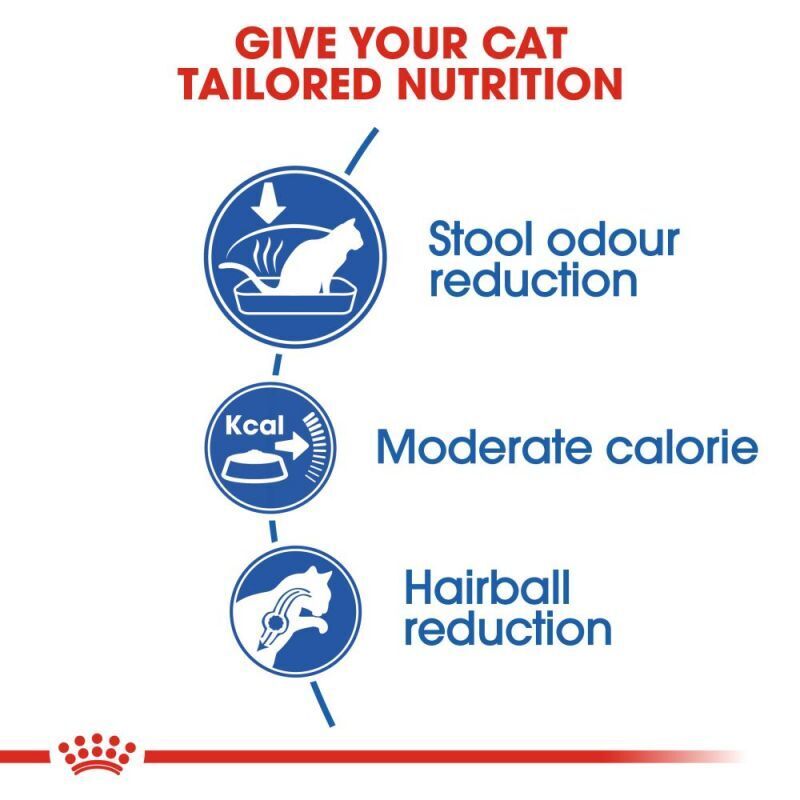 ROYAL CANIN® Indoor 27 Adult Dry Cat Food Regulate the Digestive System 2 , 4 , 10KG