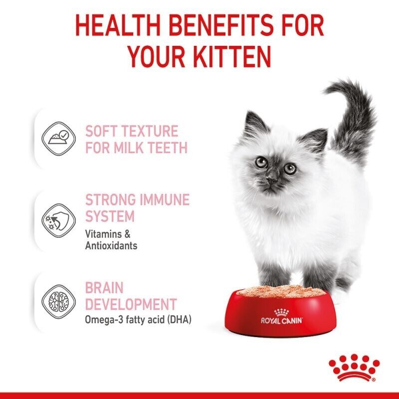 ROYAL CANIN® Kitten Loaf in Sauce In Jelly Wet Food 12 x 85g , 48 x 85g