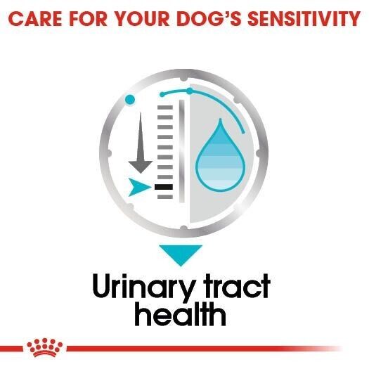 Royal Canin Urinary Care Tract Health Dog Food, (in Loaf) Wet 12 x 85g Pouches