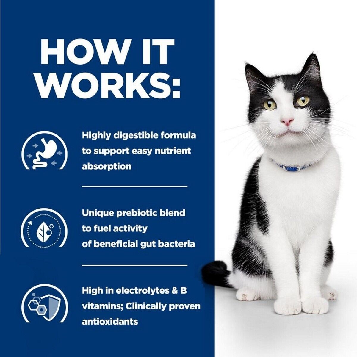 Hill's Prescription Diet Feline i/d Digestive Care Wet Cat Food in Pouches