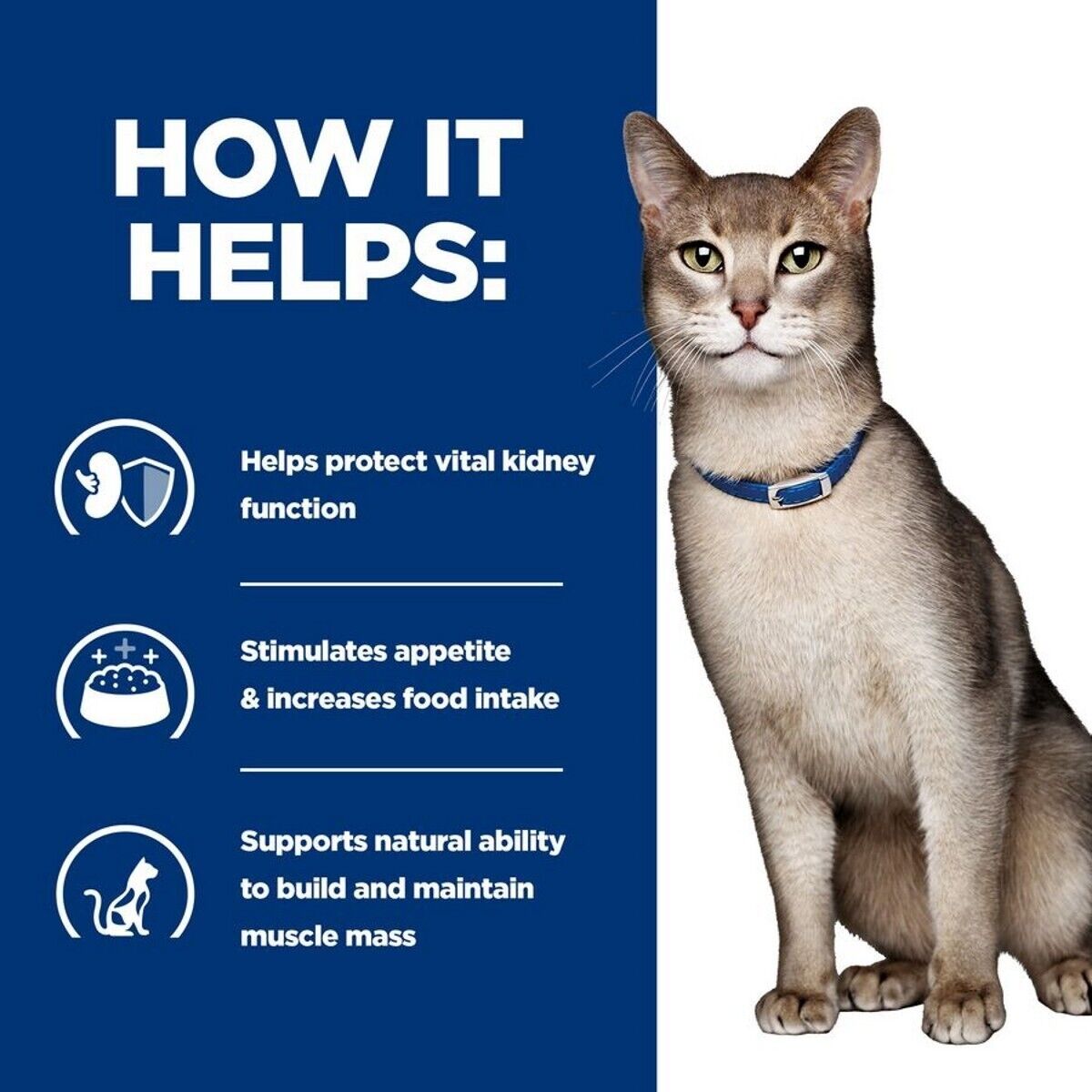 Hill's Prescription Diet Feline k/d Kidney Care Wet Cat Food Chicken Beef Salmon
