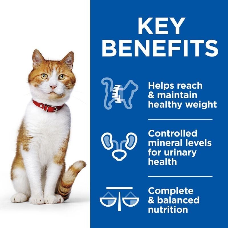 Hill's Science Plan Healthy Cuisine Chicken&Salmon Wet Adult Cat Food 12 x 80g , 24 x 80g