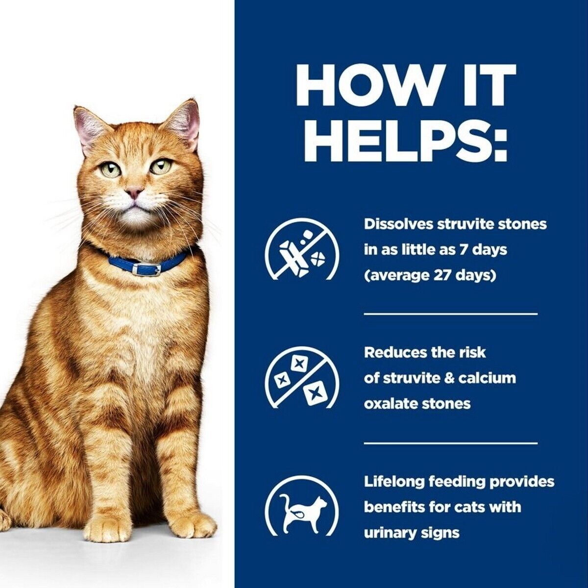 Hill's Prescription Diet C/D Tins Urinary Care for Cats with Chicken & Vegetables 24x82g