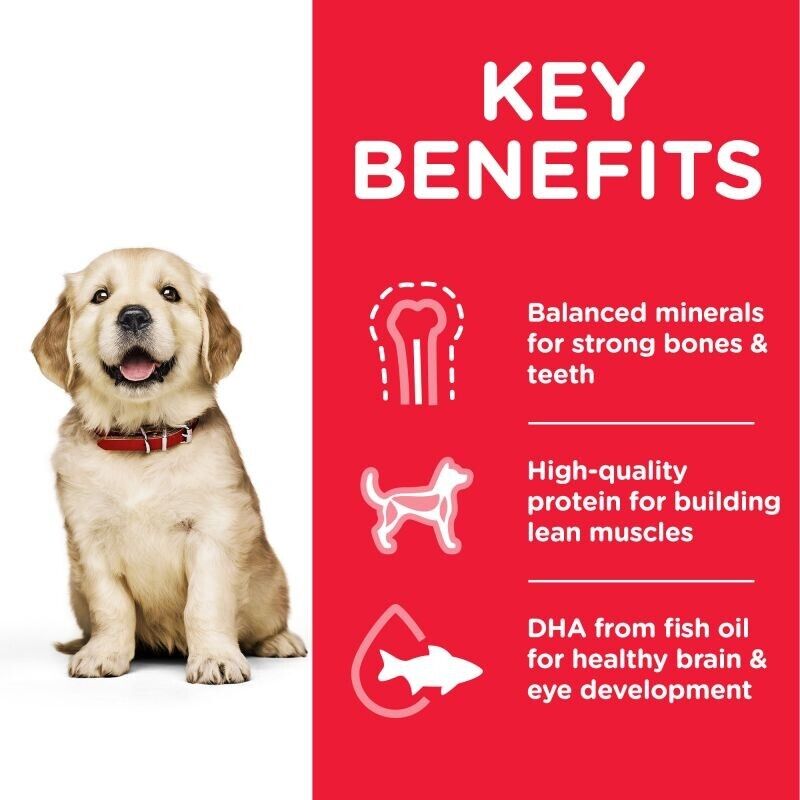 Hill's Science Plan Puppy 1 Large Breed Dry Dog Food Chicken 2.5kg, 5kg, 12kg