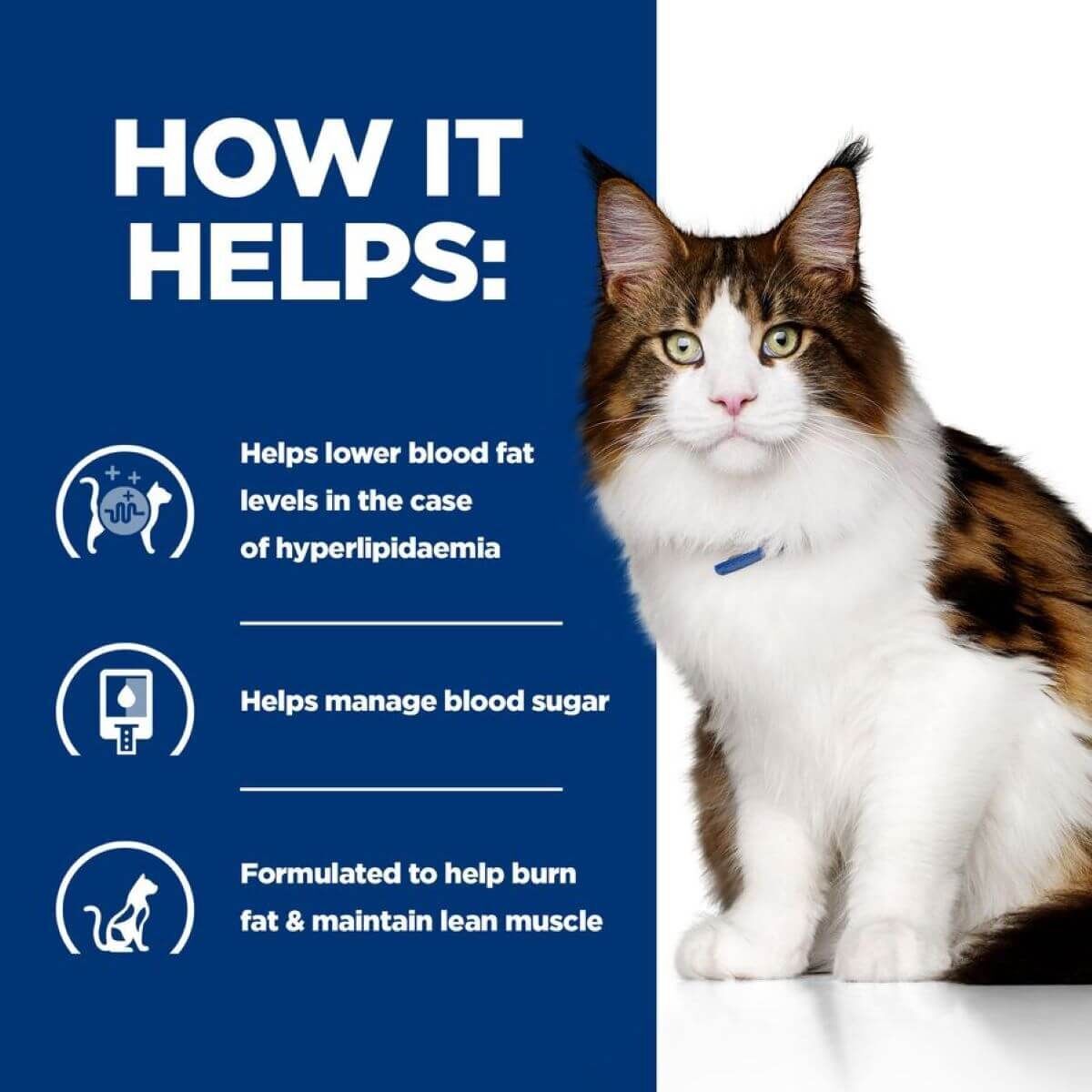 Hill’s Prescription Diet Feline w/d Multi-Benefit - Chicken Wet Cat Food