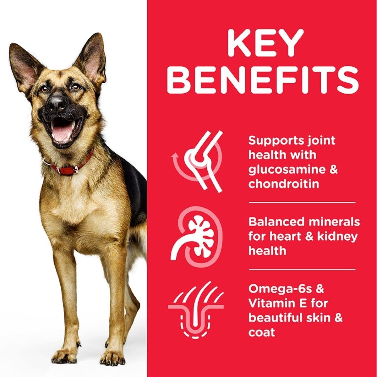 Hill’s Science Plan Mature Adult 6+ Large Breed with Chicken Dry Dog Food - 14kg