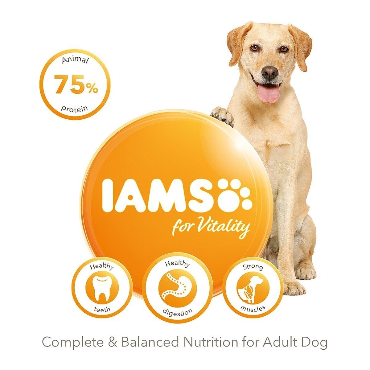 IAMS for Vitality Adult Large Dog Dry Food with Fresh Chicken - 2kg, 4kg , 12kg