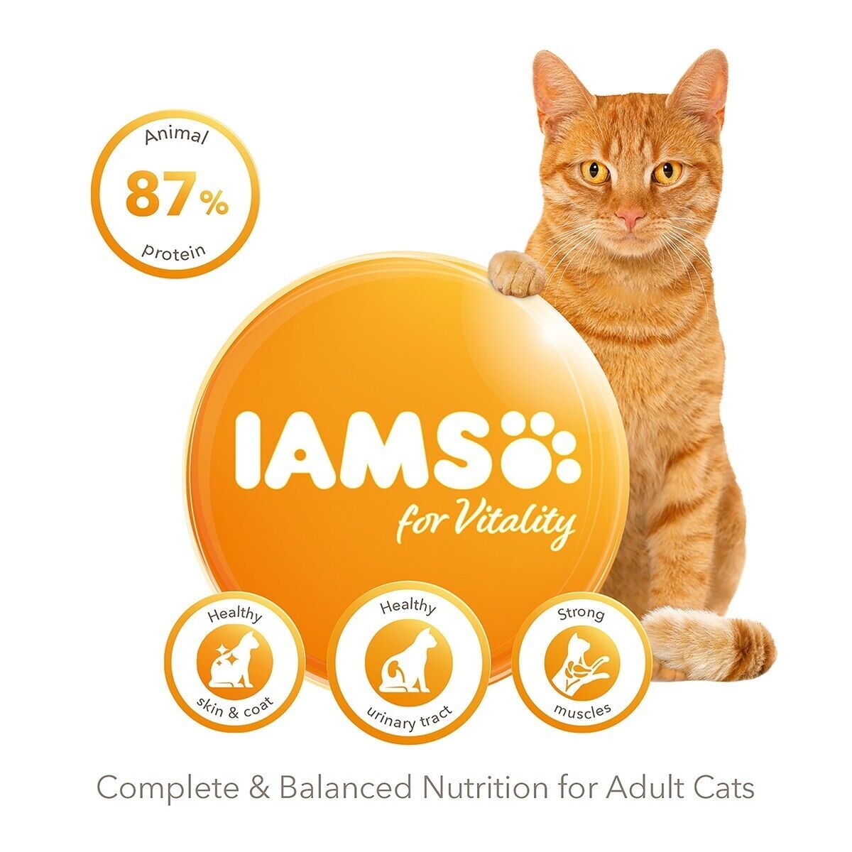 Iams for Vitality Adult Cat Food with Fresh Chicken 3 kg , 6 kg , 10 kg