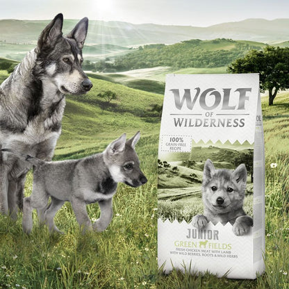 Little Wolf of Wilderness Junior Lamb and Chicken Dry Dog Food  2kg, 5kg, 12Kg