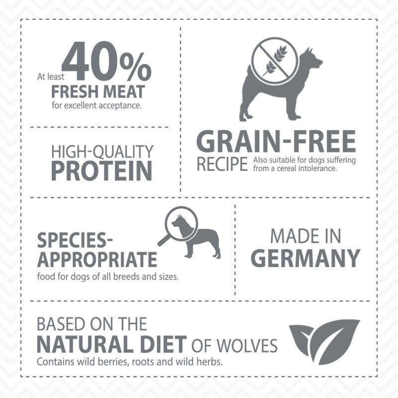 Little Wolf of Wilderness Junior Lamb and Chicken Dry Dog Food  2kg, 5kg, 12Kg