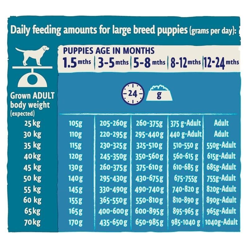Purina BETA Puppy Large Breed Turkey Dry Dog Food - 14kg