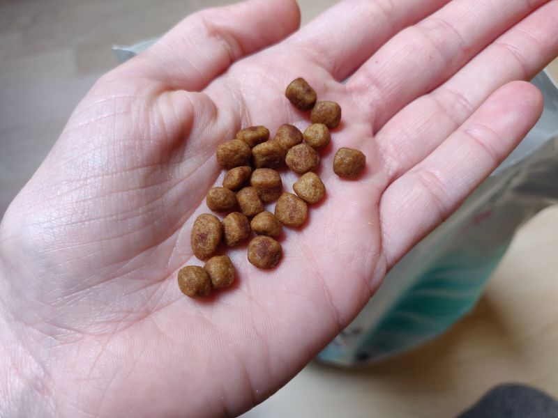 Purina Veterinary Diets Feline EN ST/OX Gastrointestinal Dry Food 1,5kg , 5kg