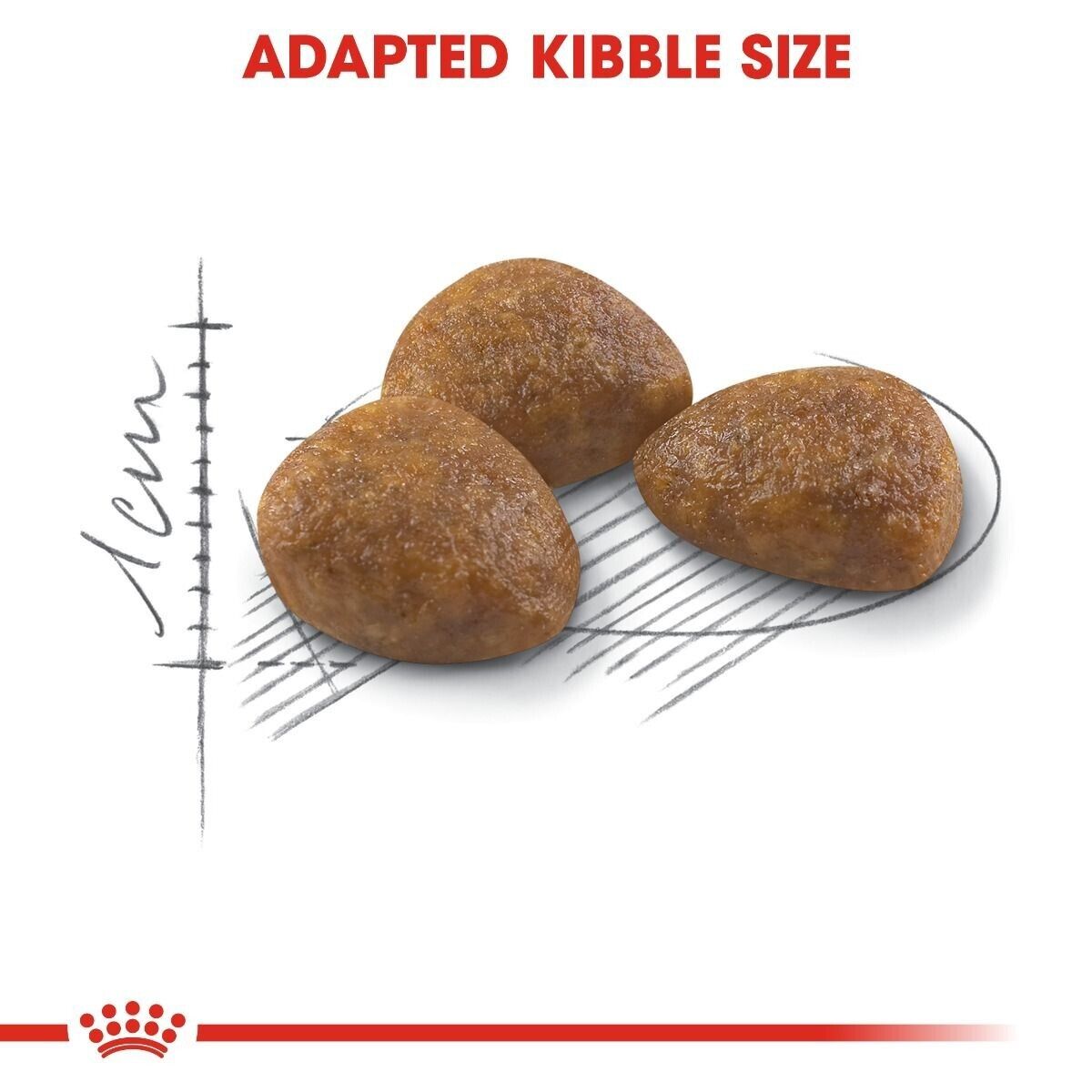 Royal Canin Active Life Outdoor 7+ Adult Cat Dry Food - 400g, 2kg, 4kg, 10kg