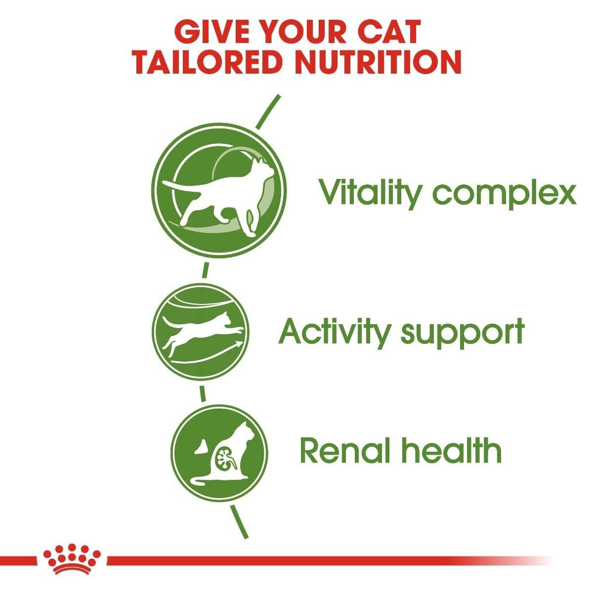 Royal Canin Active Life Outdoor 7+ Adult Cat Dry Food - 400g, 2kg, 4kg, 10kg
