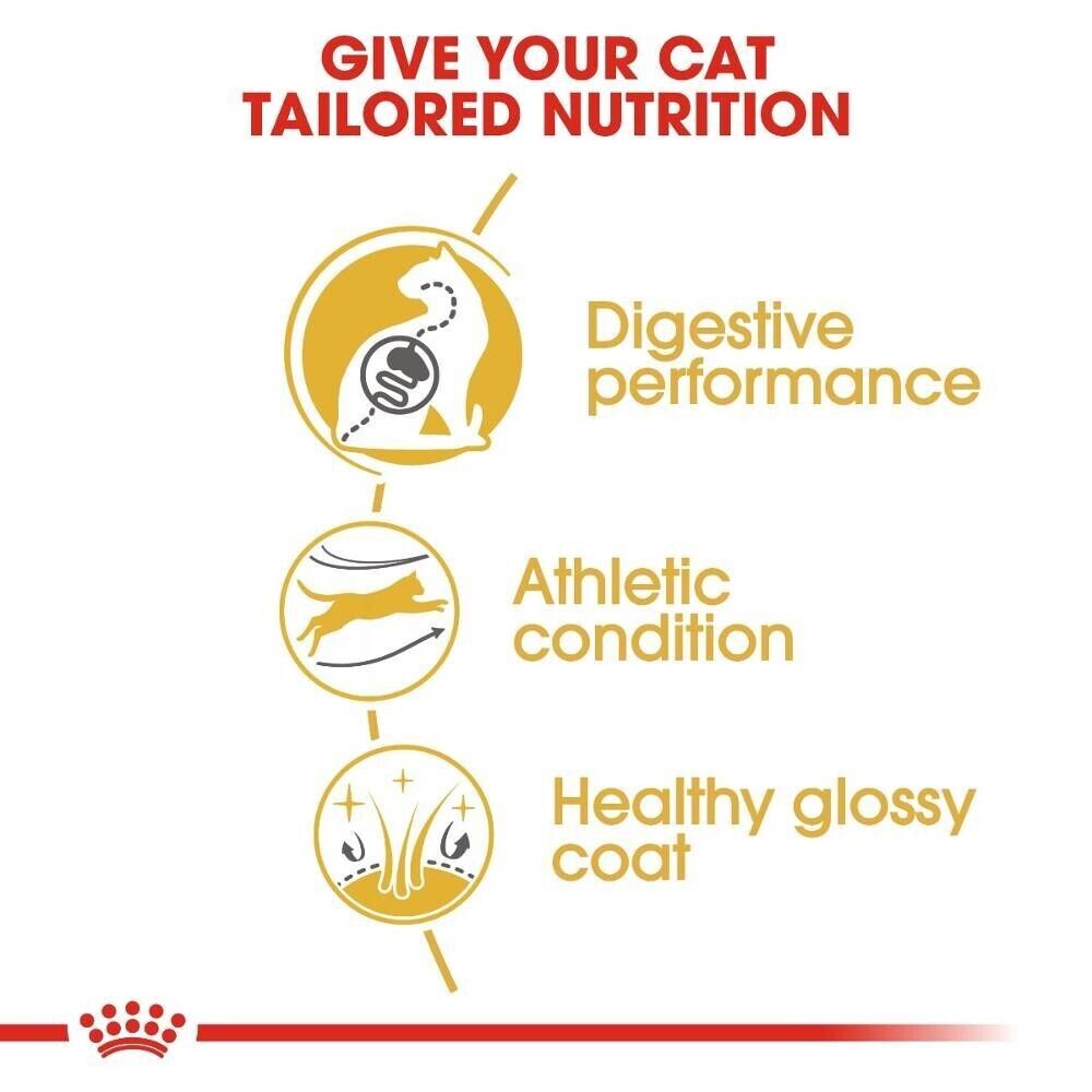Royal Canin Adult Bengal Dry Cat Food - 400g, 2kg, 10kg