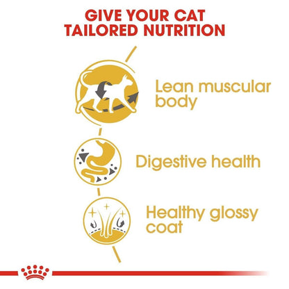 Royal Canin Adult Siamese Dry Cat Food - 400g, 2kg, 4kg, 10kg