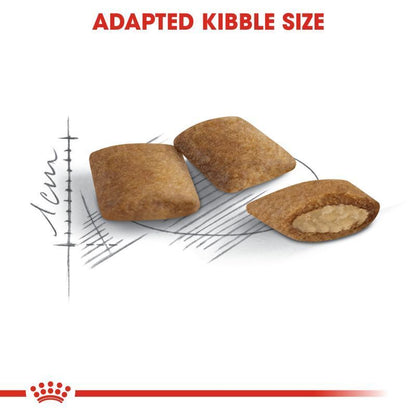 Royal Canin Ageing 12+ Senior Cat Dry Food 800g, 2Kg, 4Kg, 8kg