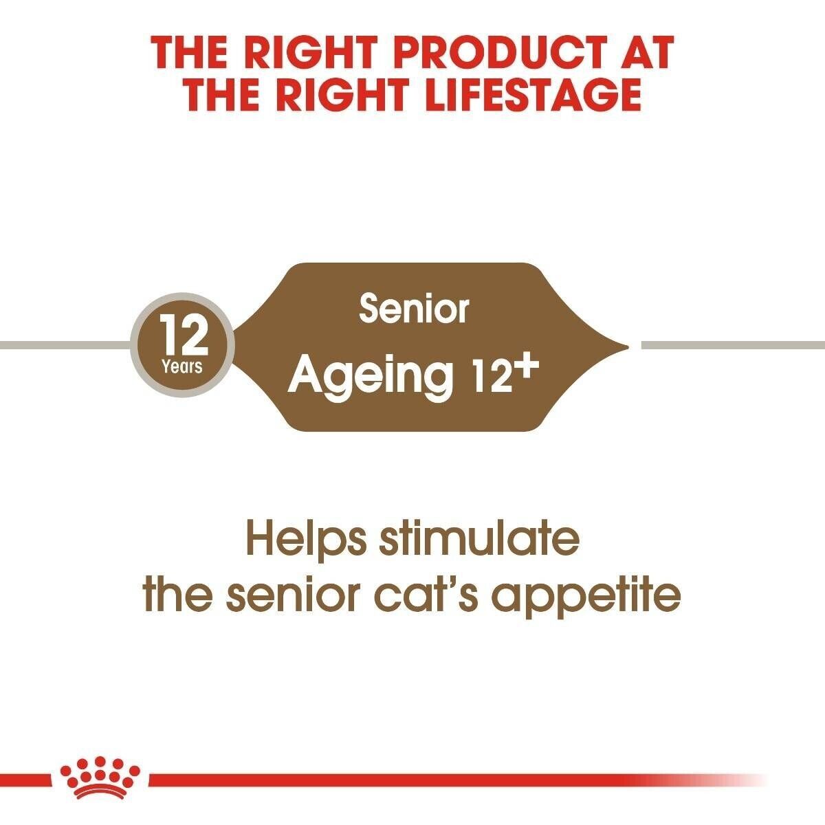 Royal Canin Ageing 12+ Senior Dry Cat Food - 400g, 2kg, 4kg