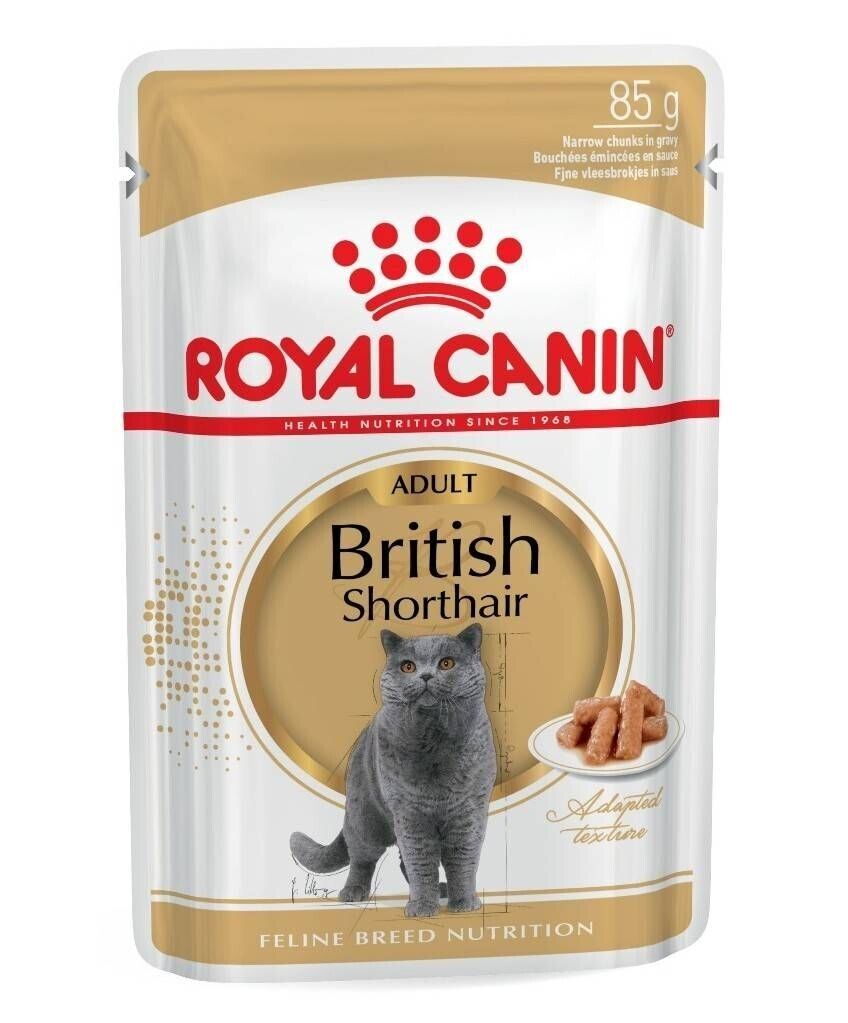 Royal Canin British Shorthair Cat Wet Food (in Gravy) - 12x85g, 48x85g Pouches