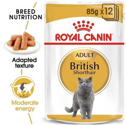 Royal Canin British Shorthair Cat Wet Food (in Gravy) - 12x85g, 48x85g Pouches