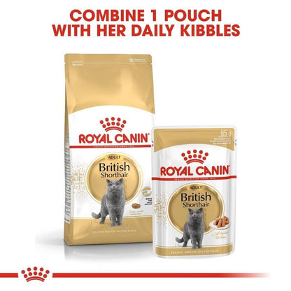 Royal Canin British Shorthair Cat Wet Food (in Gravy) - 12x85g, 48x85g Pouches