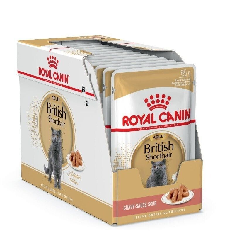 Royal Canin British Shorthair Cat Wet Food (in Gravy) - 12x85g, 48x85g Pouches